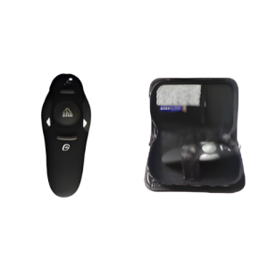 PASA DIAPOSITIVA CON PUNTERO