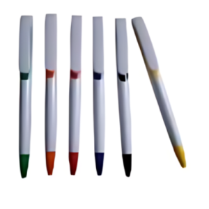 LAPICERO PLASTICO 10