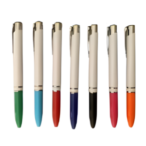 LAPICERO PLASTICO 17